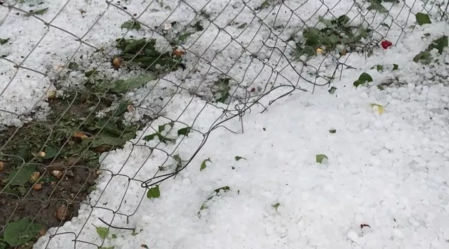  &copy;&nbsp;Фото из паблика &laquo;Типичная Адыгея&raquo;, vk.com/typical01