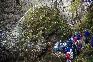 Водопады Руфабго в Адыгее &copy;&nbsp;Елена Синеок, ЮГА.ру