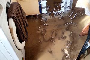  © Фото Людмилы Долженко