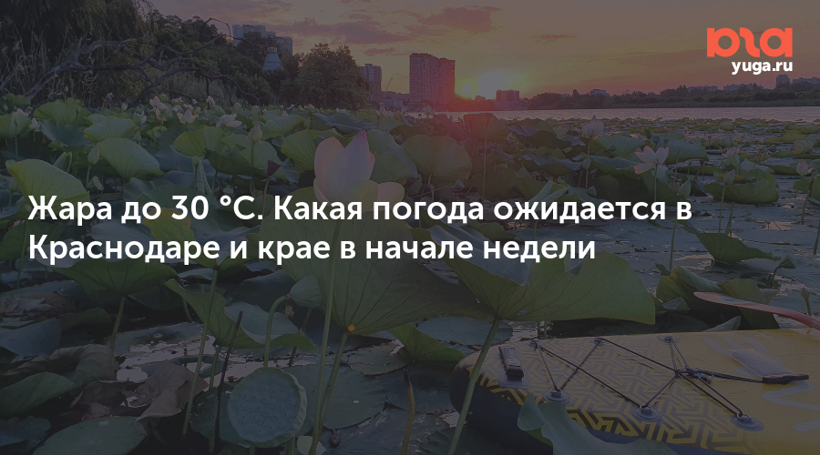 Жара до 30 °C. Какая погода ожидается в Краснодаре и крае в начале недели