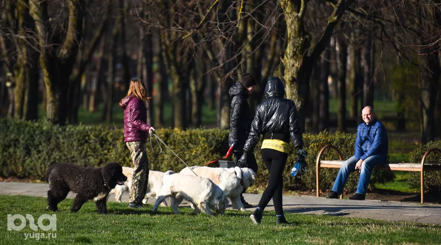  &copy;&nbsp;Фото Елены Синеок, Юга.ру