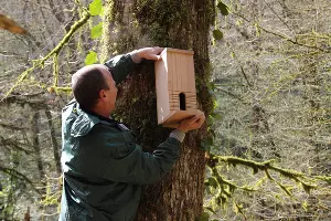  &copy;&nbsp;Фото пресс-службы Сочинского нацпарка