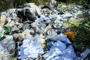  &copy;&nbsp;Фото Александра Райко, пресс-служба мэрии Краснодара