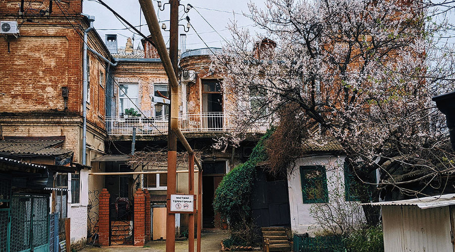  © Фото Владимира Бабенко, unsplash.com