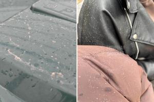  &copy;&nbsp;Коллаж из скриншотов фото из телеграм-каналов &laquo;Погода в Сочи&raquo; и &laquo;Типичная Динская&raquo;