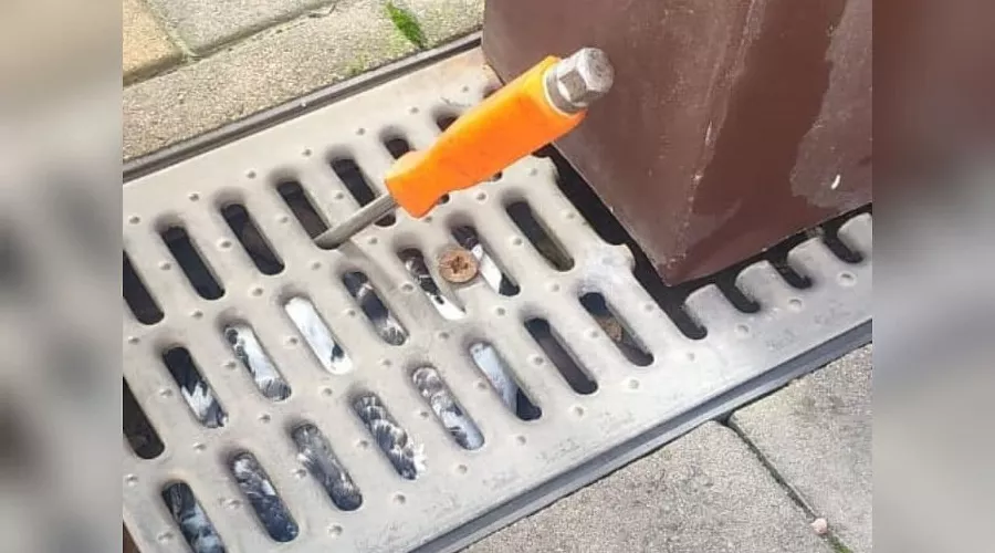  &copy;&nbsp;Фото из инстаграма главы МБУ ПАСС &laquo;Служба спасения&raquo; Новороссийска Алексея Одерова, instagram.com/alekseioderov/