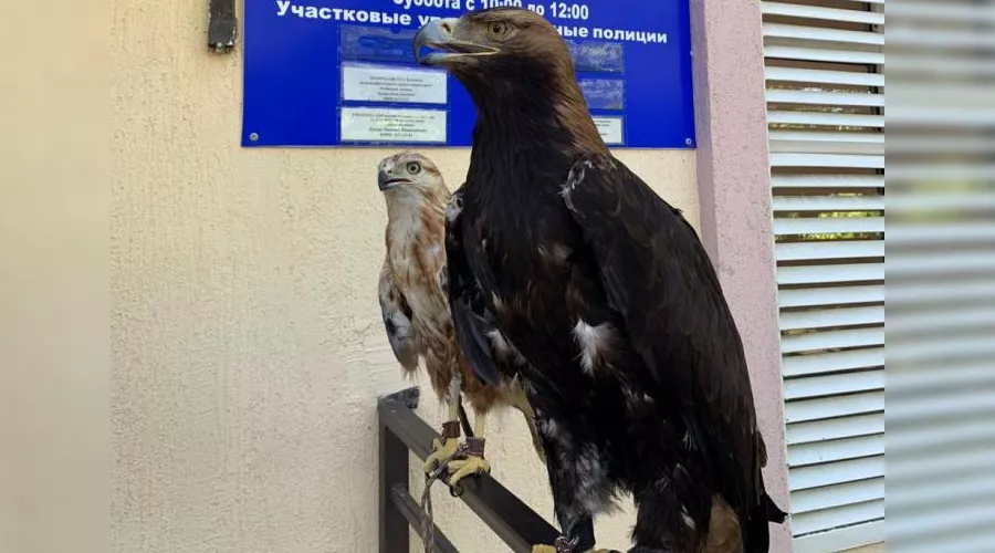  &copy;&nbsp;Фото пресс-службы администрации Анапы