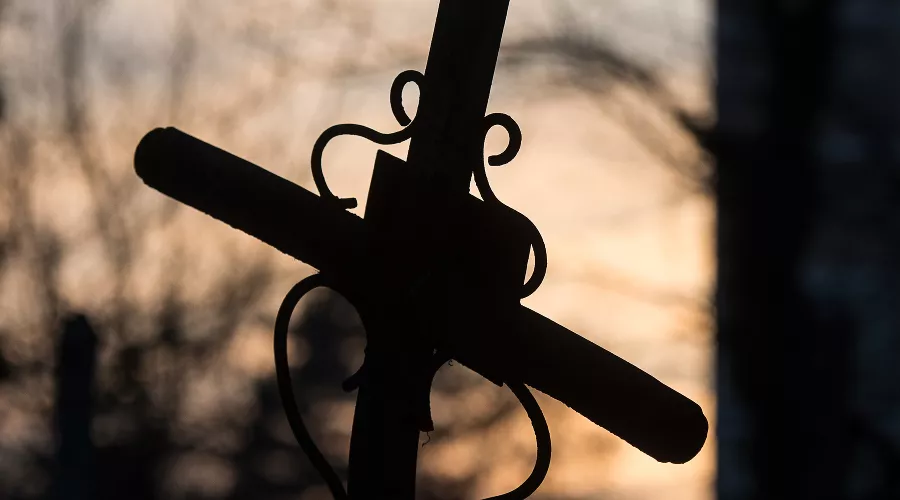  &copy;&nbsp;Фото Елены Синеок, Юга.ру