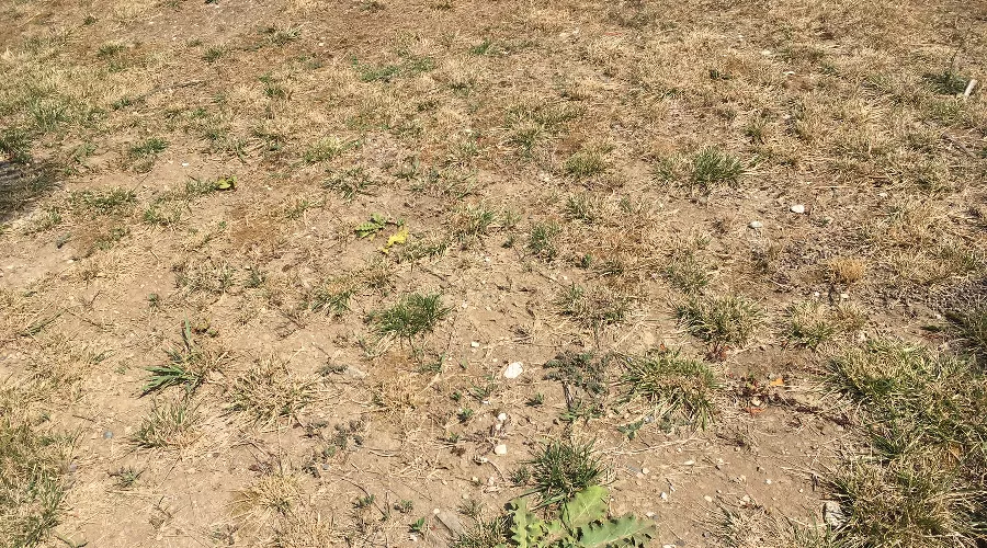  &copy;&nbsp;Фото Юлии Барановой, Юга.ру