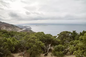  &copy;&nbsp;Фото пресс-службы администрации Анапы