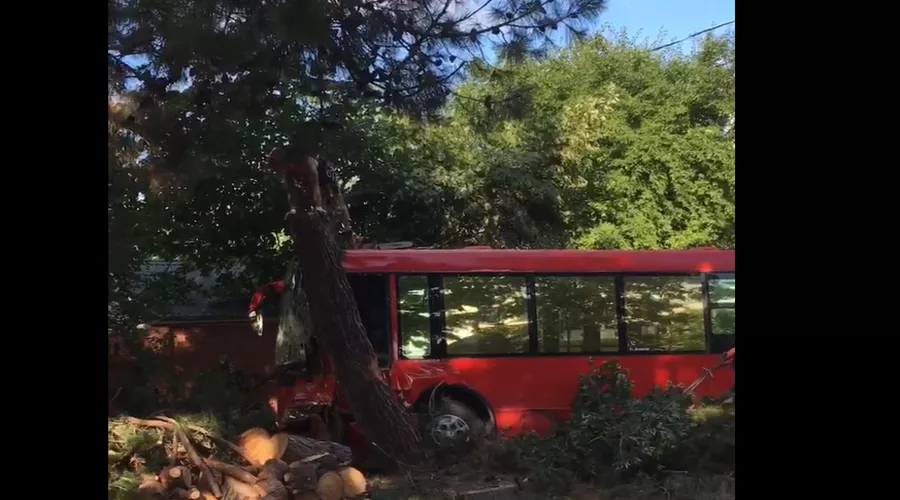  &copy;&nbsp;Скриншот видео из телеграм-канала t.me/anapanovosti/16928