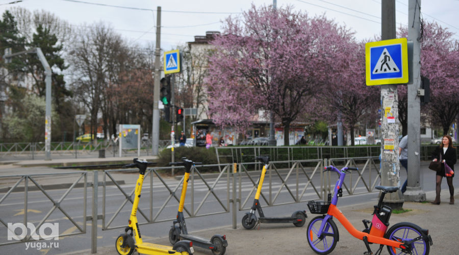 Улица Ставропольская в Краснодаре &copy;&nbsp;Фото Марины Солошко, Юга.ру
