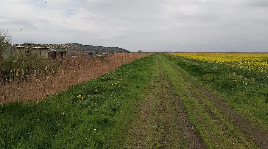 Свалка в Полтавской &copy;&nbsp;Фото Антона Быкова, Юга.ру