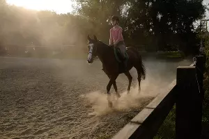  &copy;&nbsp;Фото Николая Хижняка, Юга.ру