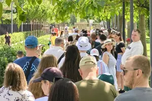  &copy;&nbsp;Скриншот из телеграм-канала https://t.me/tipichkras