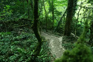 Сочинский национальный парк &copy;&nbsp;Фото AmixStudio, freepik.com