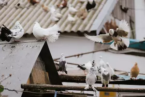  &copy;&nbsp;Фото Дениса Яковлева, Юга.ру