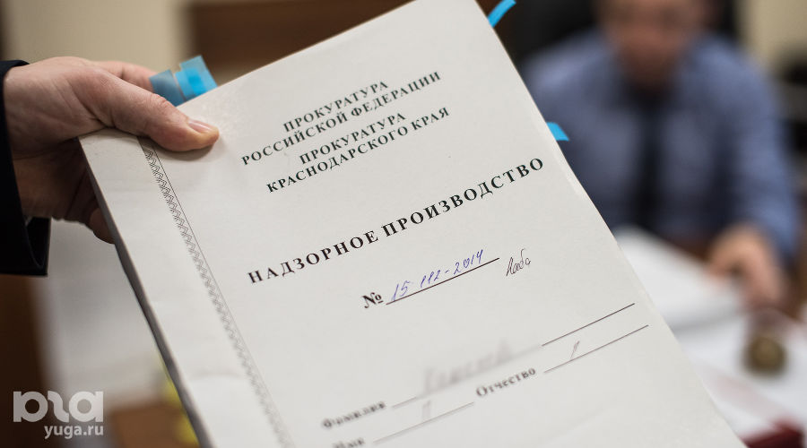  © Фото Елены Синеок, Юга.ру