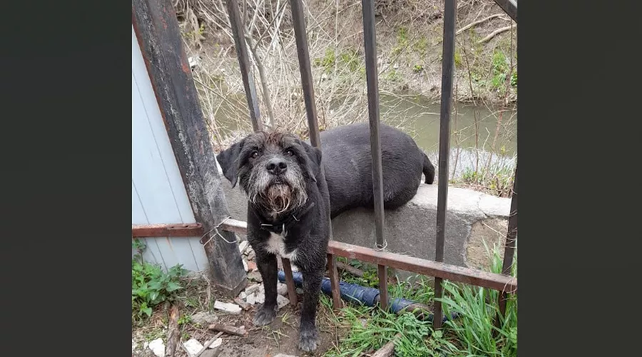  &copy;&nbsp;Скриншот с телеграм-канала t.me/alekseioderov