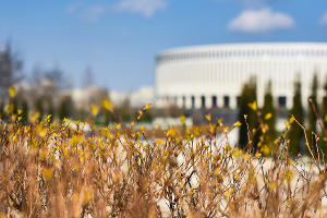 Парк «Краснодар»  &copy;&nbsp;Фото Елены Синеок, Юга.ру