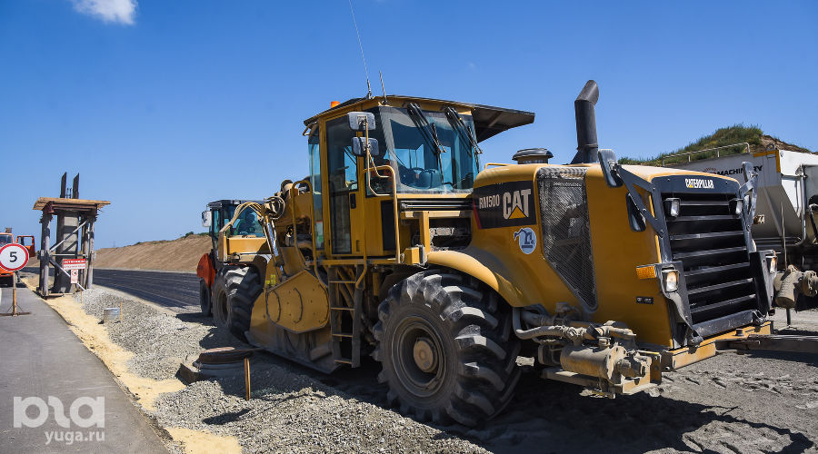  © Фото Елены Синеок, Юга.ру