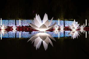 Парк «Краснодар»  с новогодней подсветкой &copy;&nbsp;Фото Елены Синеок, Юга.ру