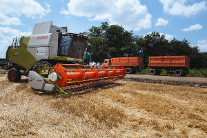  © Фото Амины Ибрагимовой, Юга.ру