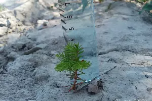  &copy;&nbsp;Фото пресс-службы министерства природных ресурсов Краснодарского Края