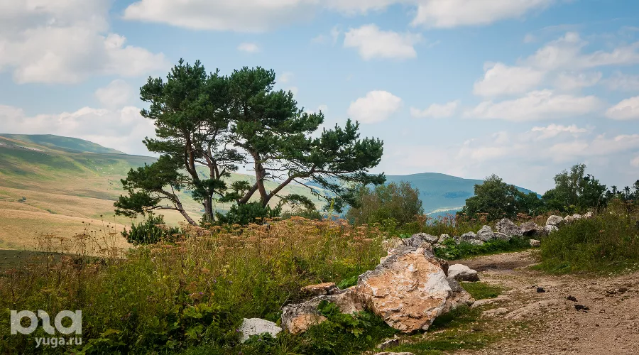 Лагонакское нагорье и Фишт-Оштенский горный массив &copy;&nbsp;Фото Елены Синеок, Юга.ру