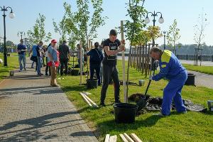  © Фото пресс-службы администрации Краснодара