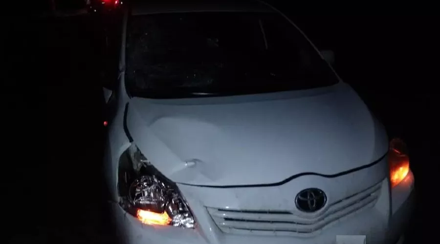  &copy;&nbsp;Фото отдела пропаганды УГИБДД ГУ МВД РФ по Краснодарскому краю