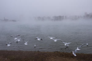  © Фото Елены Синеок, Юга.ру