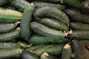  &copy;&nbsp;Фото Анны Петровой, Юга.ру