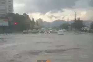  &copy;&nbsp;Скриншот видео из телеграм-канала t.me/tipichkras