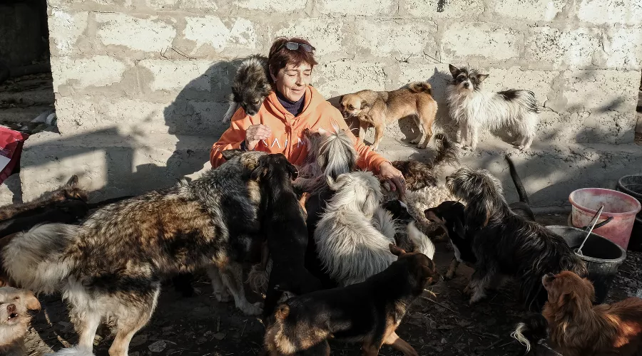  &copy;&nbsp;Фотография предоставлена Наталией Пяткиной