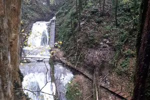  &copy;&nbsp;Фото с сайта npsochi.ru