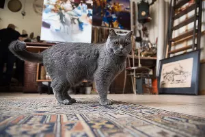  &copy;&nbsp;Елена Синеок, Юга.ру