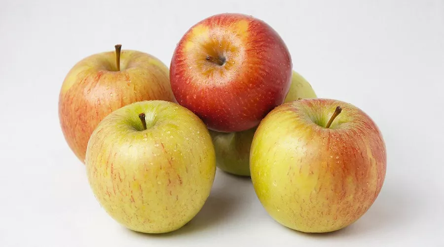 яблоки &copy;&nbsp;татьяна Соколова