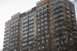  &copy;&nbsp;Фото Елены Синеок, Юга.ру