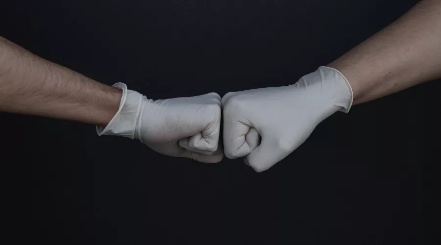  &copy;&nbsp;Фото Branimir Balogović с сайта unsplash.com