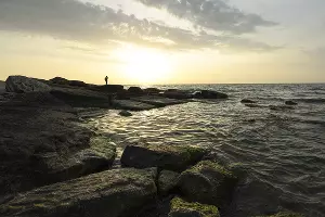  &copy;&nbsp;Фото Елены Синеок, Юга.ру