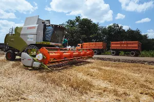  &copy;&nbsp;Фото Амины Ибрагимовой, Юга.ру