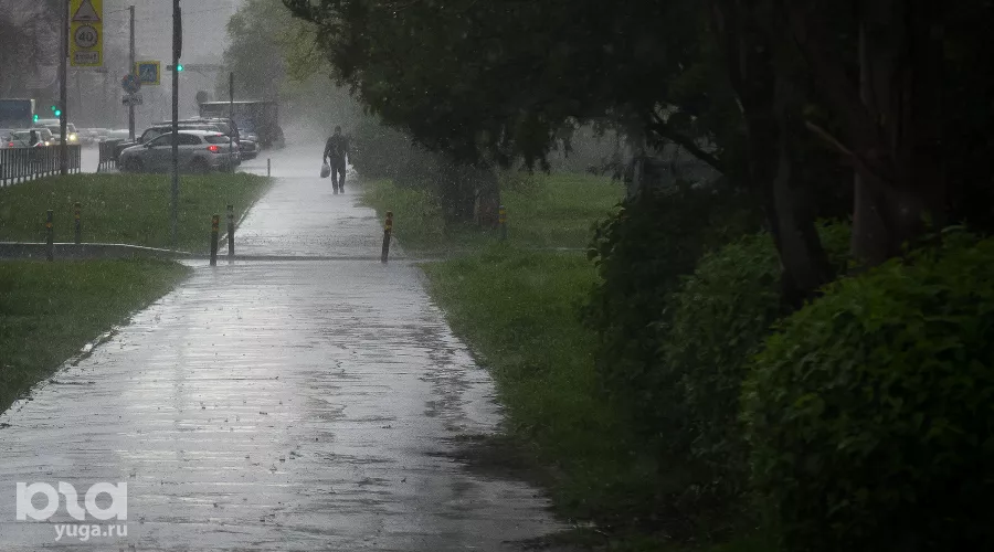  &copy;&nbsp;Фото Елены Синеок, Юга.ру