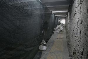  © Фото Карины Сардарян, пресс-служба администрации Краснодара