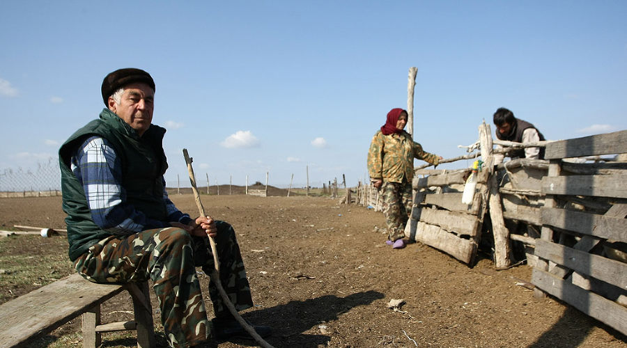 В Чечне начали разводить верблюдов  &copy;&nbsp;Влад Александров. ЮГА.ру