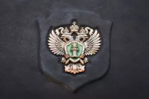  &copy;&nbsp;Елена Синеок, Юга.ру