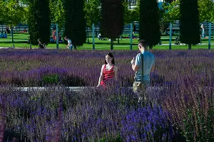 Парк &laquo;Краснодар&raquo; открылся после карантина &copy;&nbsp;Фото Дмитрия Леснова, Юга.ру