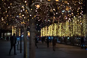 Парк «Краснодар» &copy;&nbsp;Фото Елены Синеок, Юга.ру