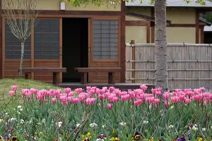  &copy;&nbsp;Фото Дмитрия Лобанова, предоставлено Юга.ру