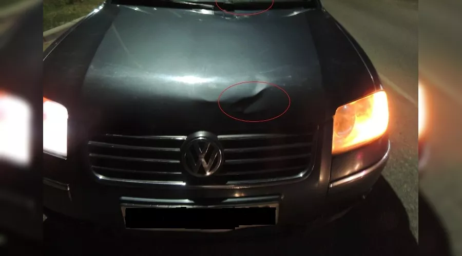  &copy;&nbsp;Фото пресс-службы МВД по Адыгее